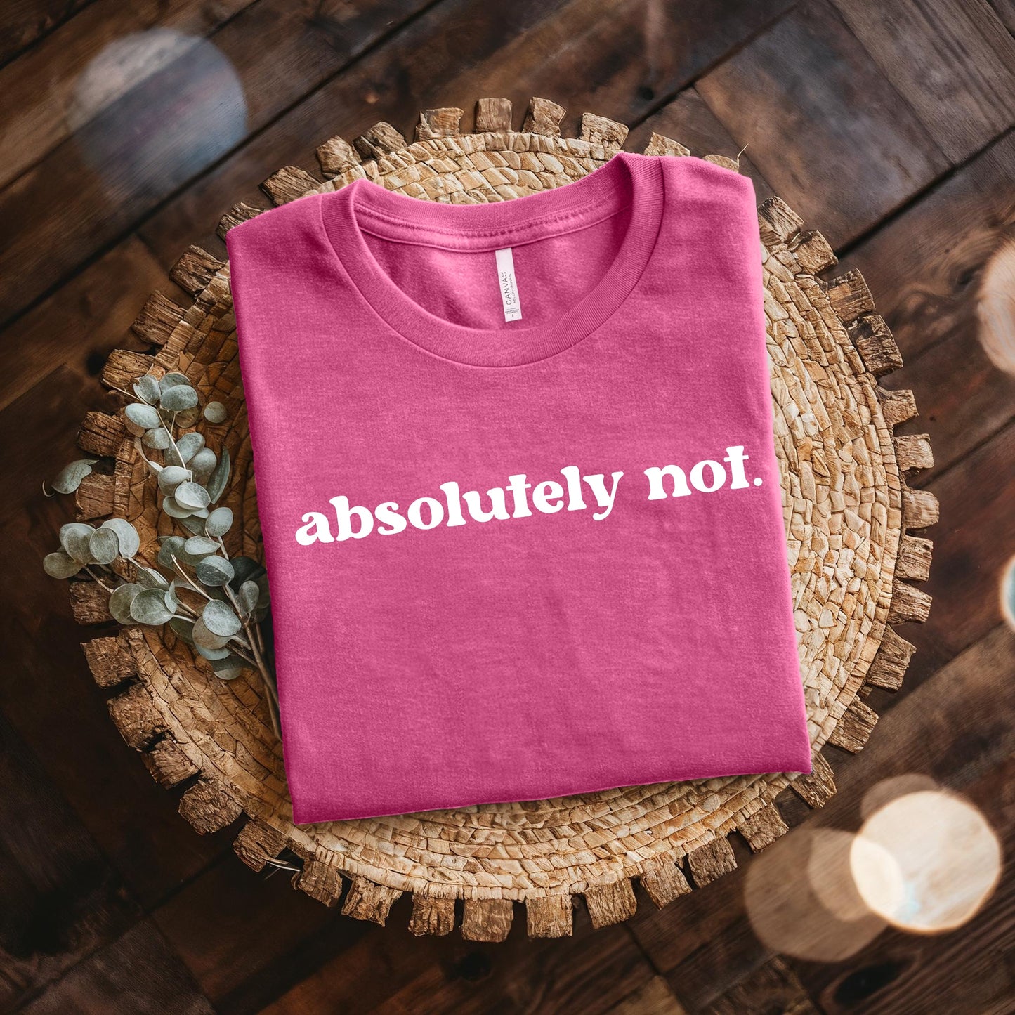 Absolutely Not Short Sleeve Tee