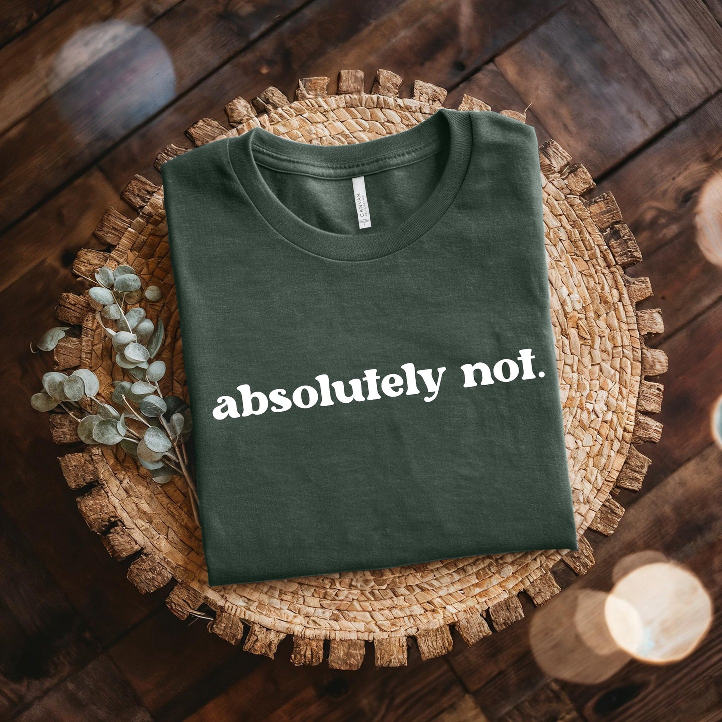 Absolutely Not Short Sleeve Tee
