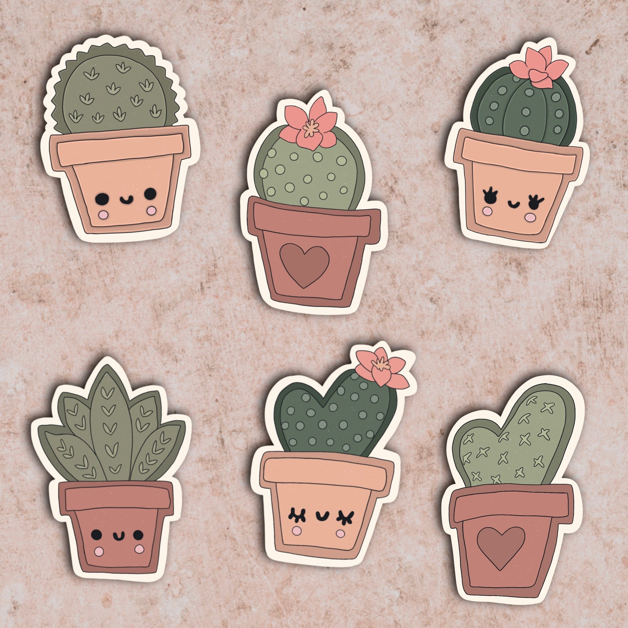 Mini Cactus Pack